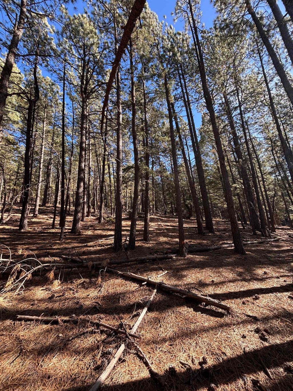 Photo of Lot 88 Mammoth Mountain Rd, Angel Fire, NM 87710 (MLS # 114100)