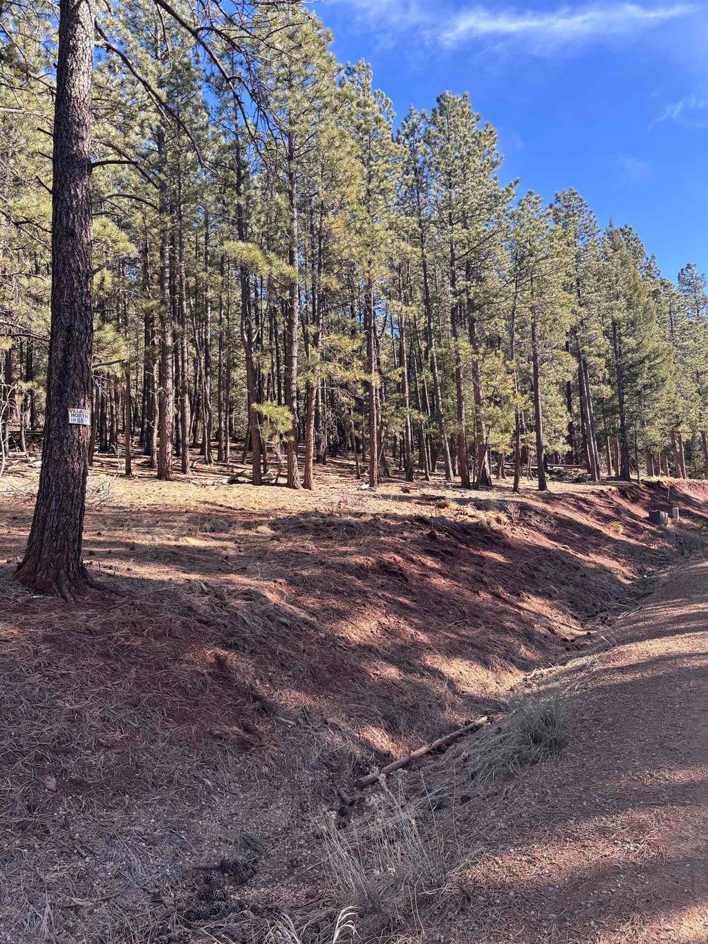 Photo of Lot 88 Mammoth Mountain Rd, Angel Fire, NM 87710 (MLS # 114100)