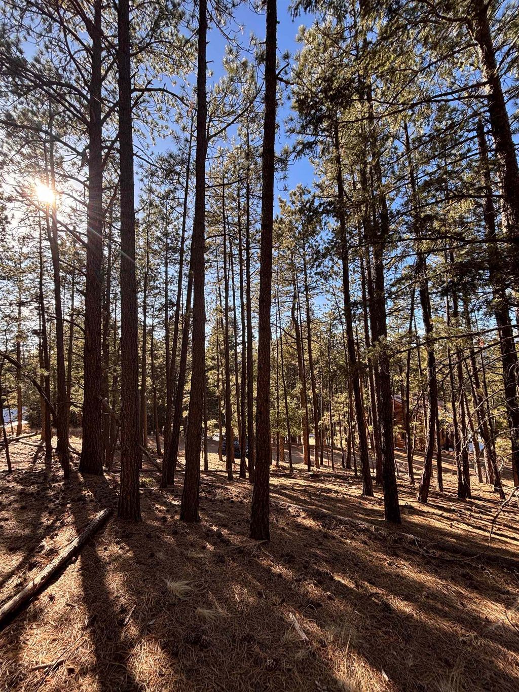 Photo of Lot 88 Mammoth Mountain Rd, Angel Fire, NM 87710 (MLS # 114100)