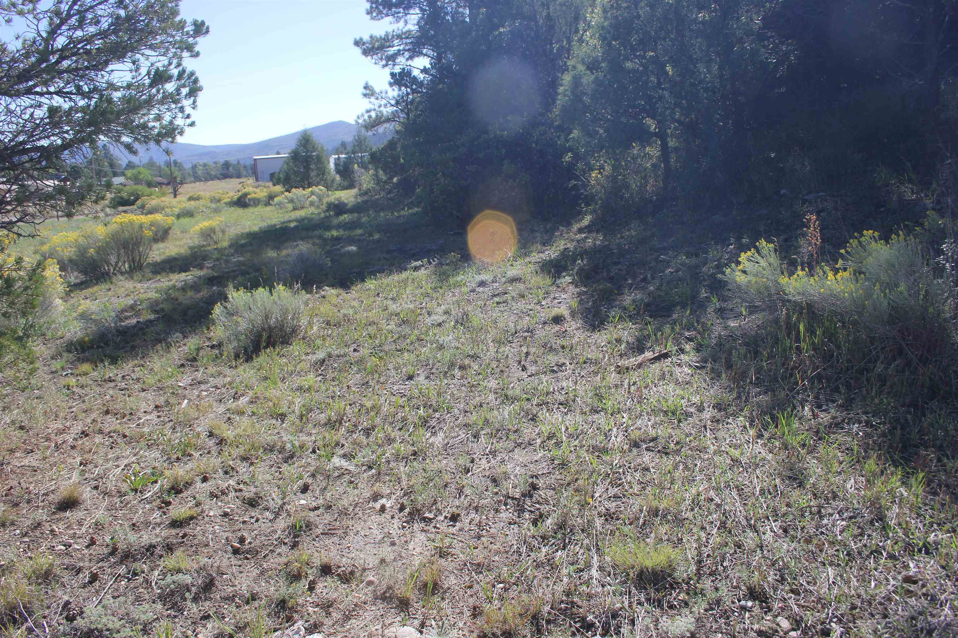 TBD Woodpecker Lane, Ute Park, New Mexico image 2