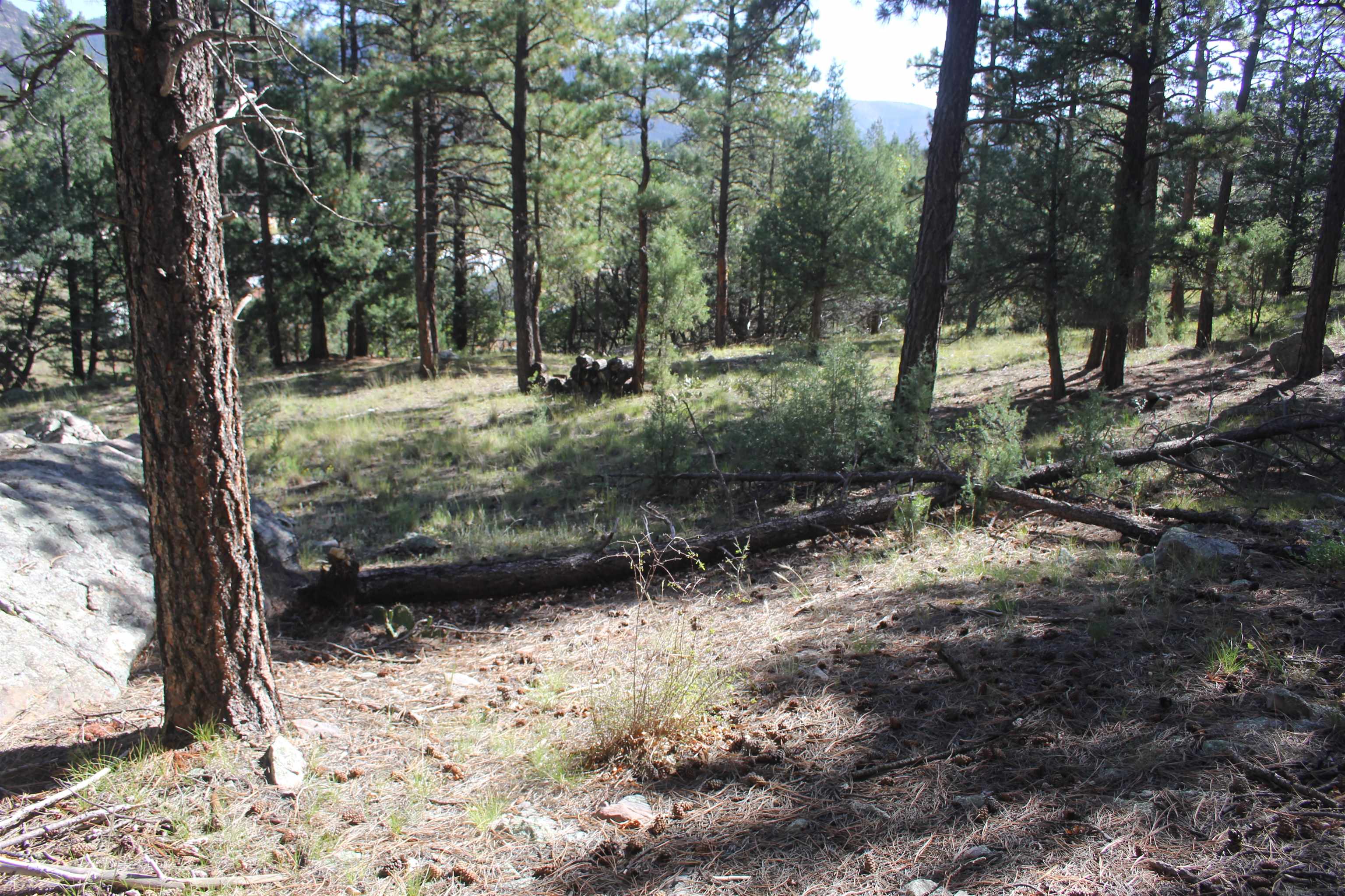 TBD Woodpecker Lane, Ute Park, New Mexico image 10