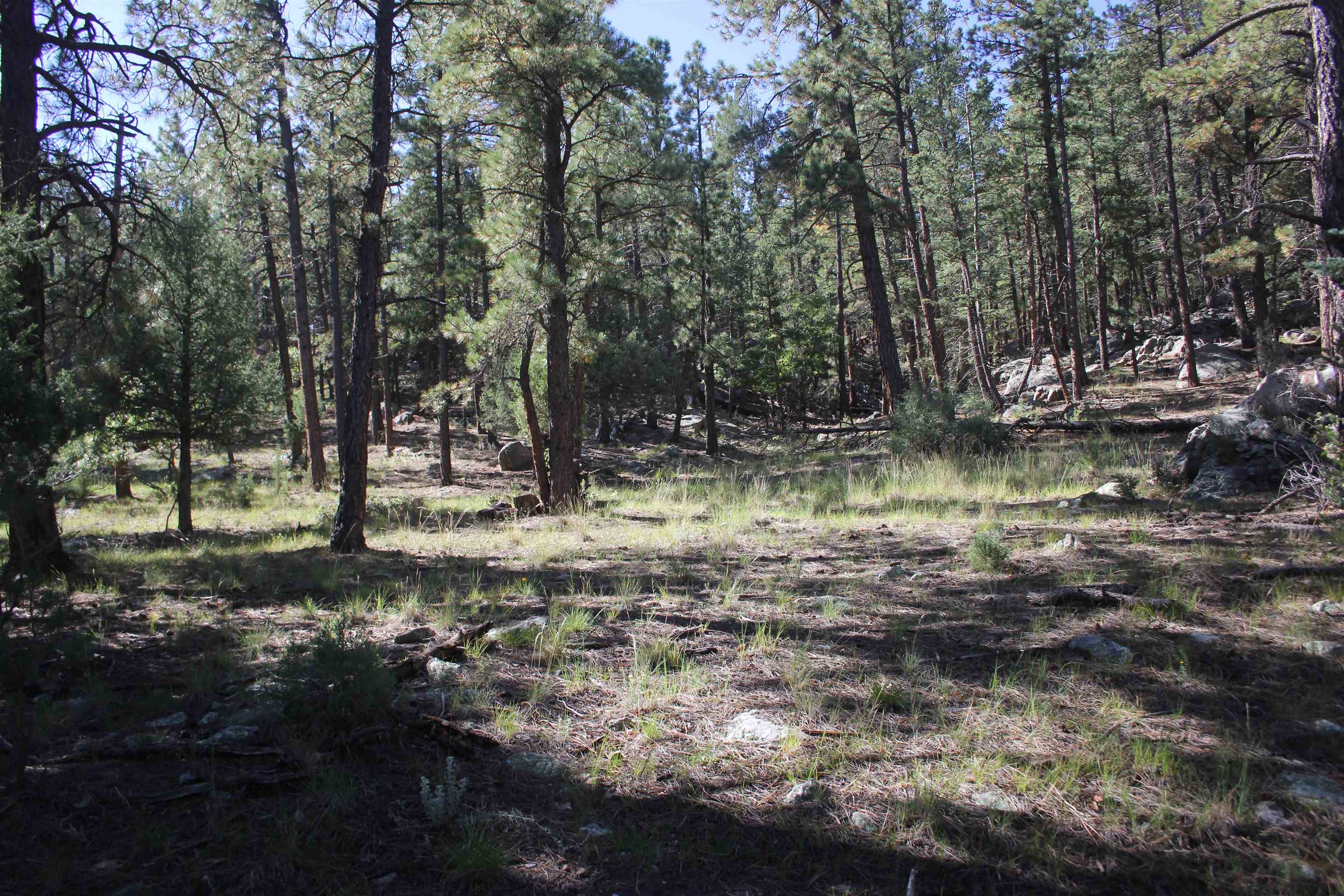 TBD Woodpecker Lane, Ute Park, New Mexico image 13