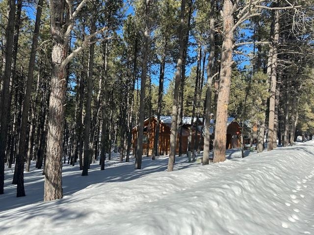 Lot 5 Pine Valley Drive, Angel Fire, New Mexico image 3