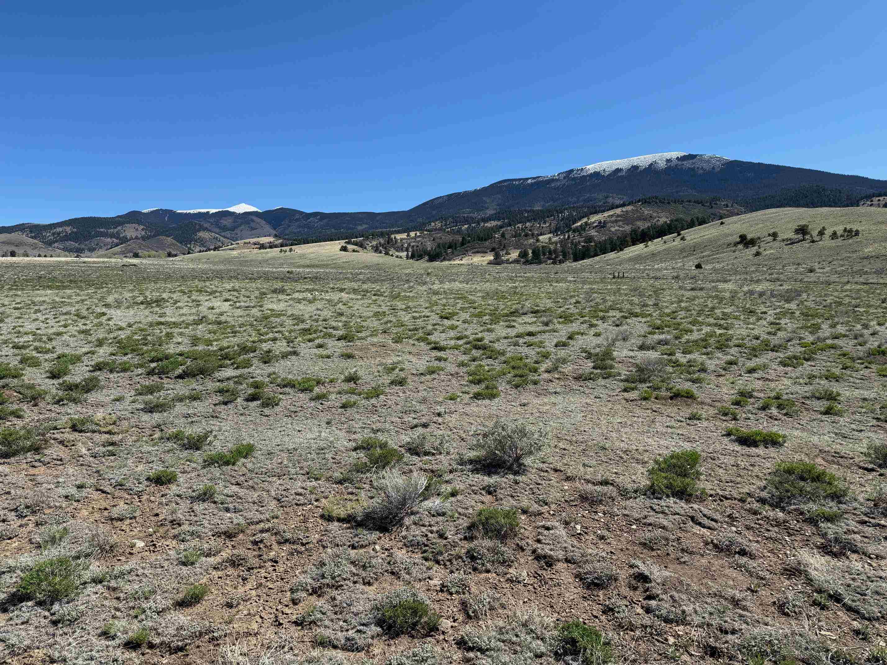 Lot 17 Smokey Bear Lane, Eagle Nest, New Mexico image 1