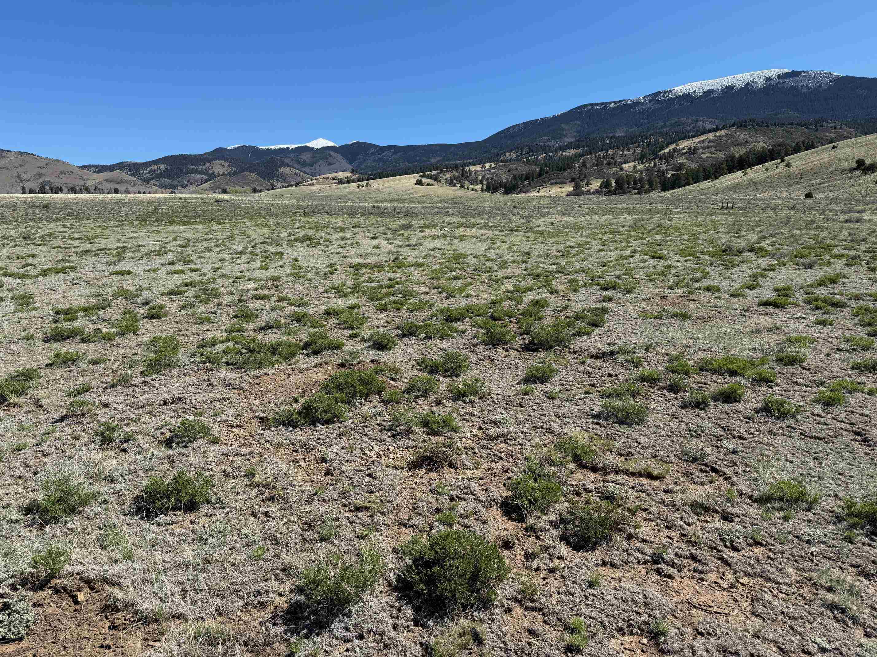 Lot 17 Smokey Bear Lane, Eagle Nest, New Mexico image 2