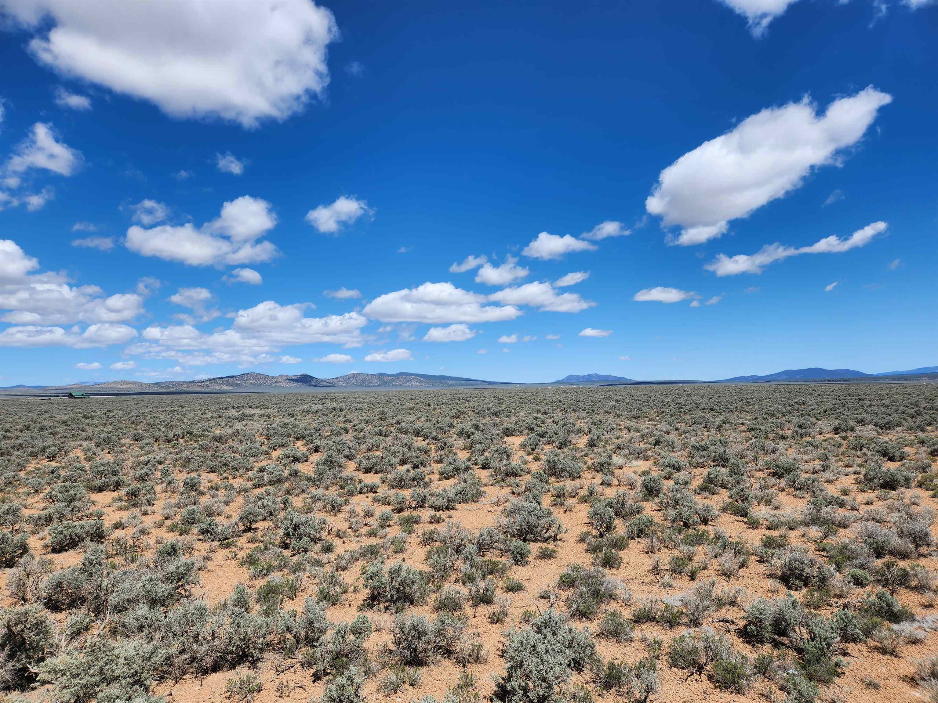 Montosa Road, Tres Piedras, New Mexico image 6