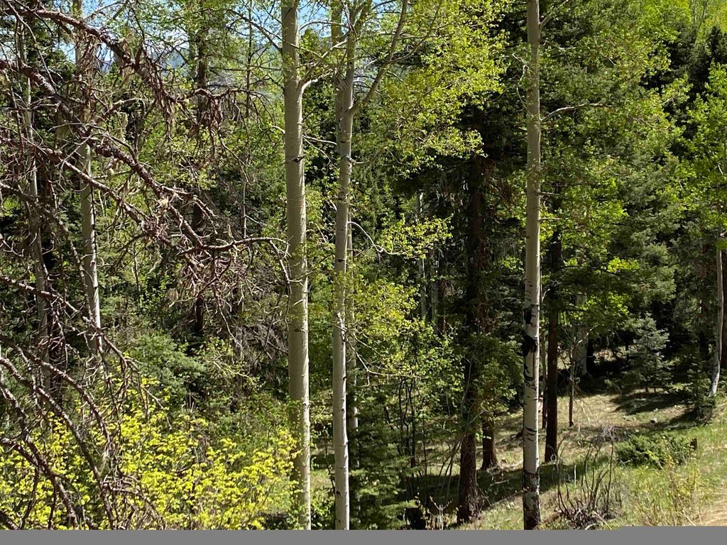 Photo of lot 2557 Chalet 3, Angel Fire, NM 87710 (MLS # 114495)