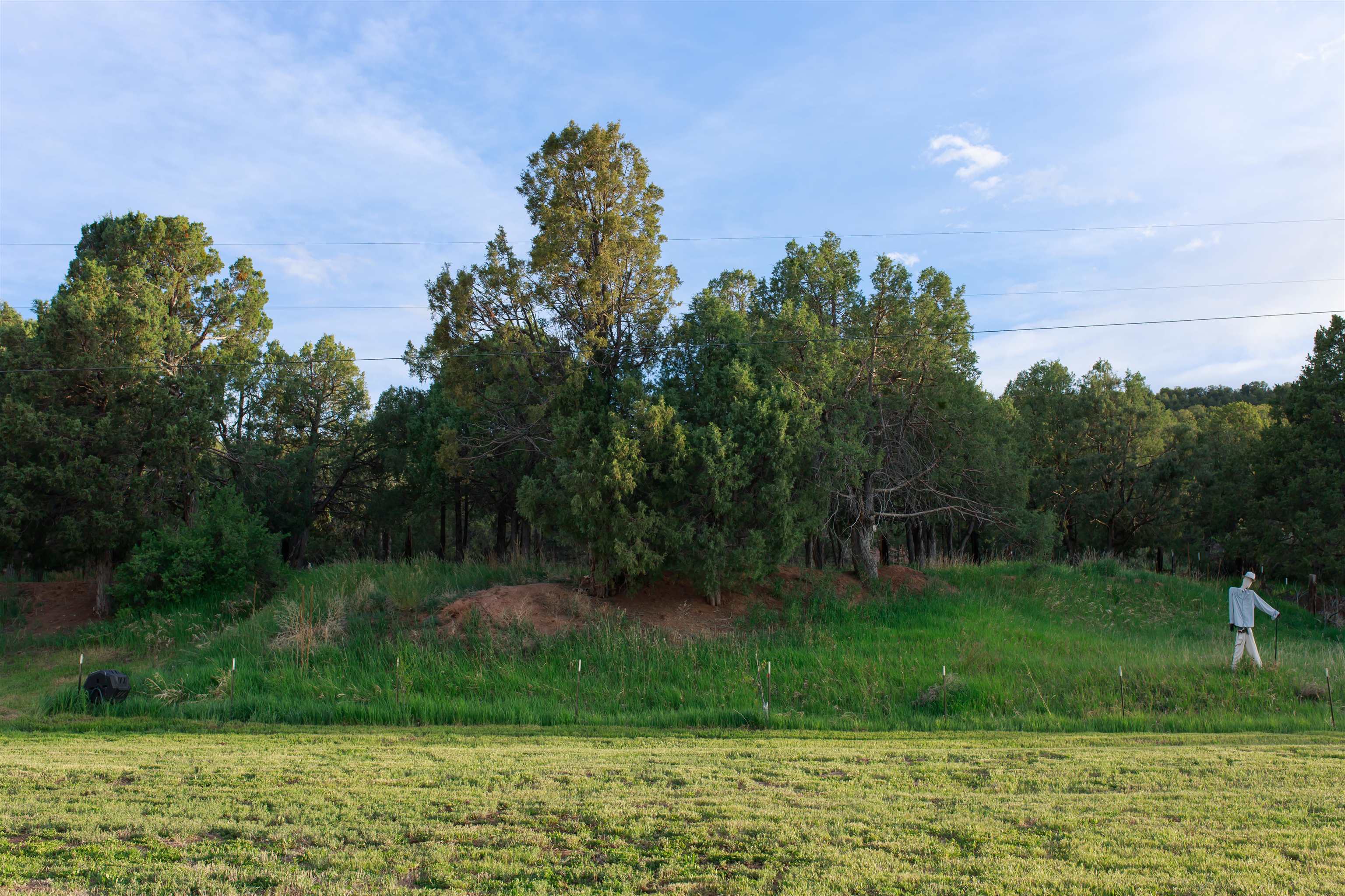 Penasco, New Mexico 87553, United States, 3 Bedrooms Bedrooms, ,2 BathroomsBathrooms,Residential,Active,155133