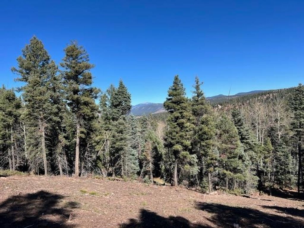 Photo of lot 373 Vail Loop, Angel Fire, NM 87710 (MLS # 114189)