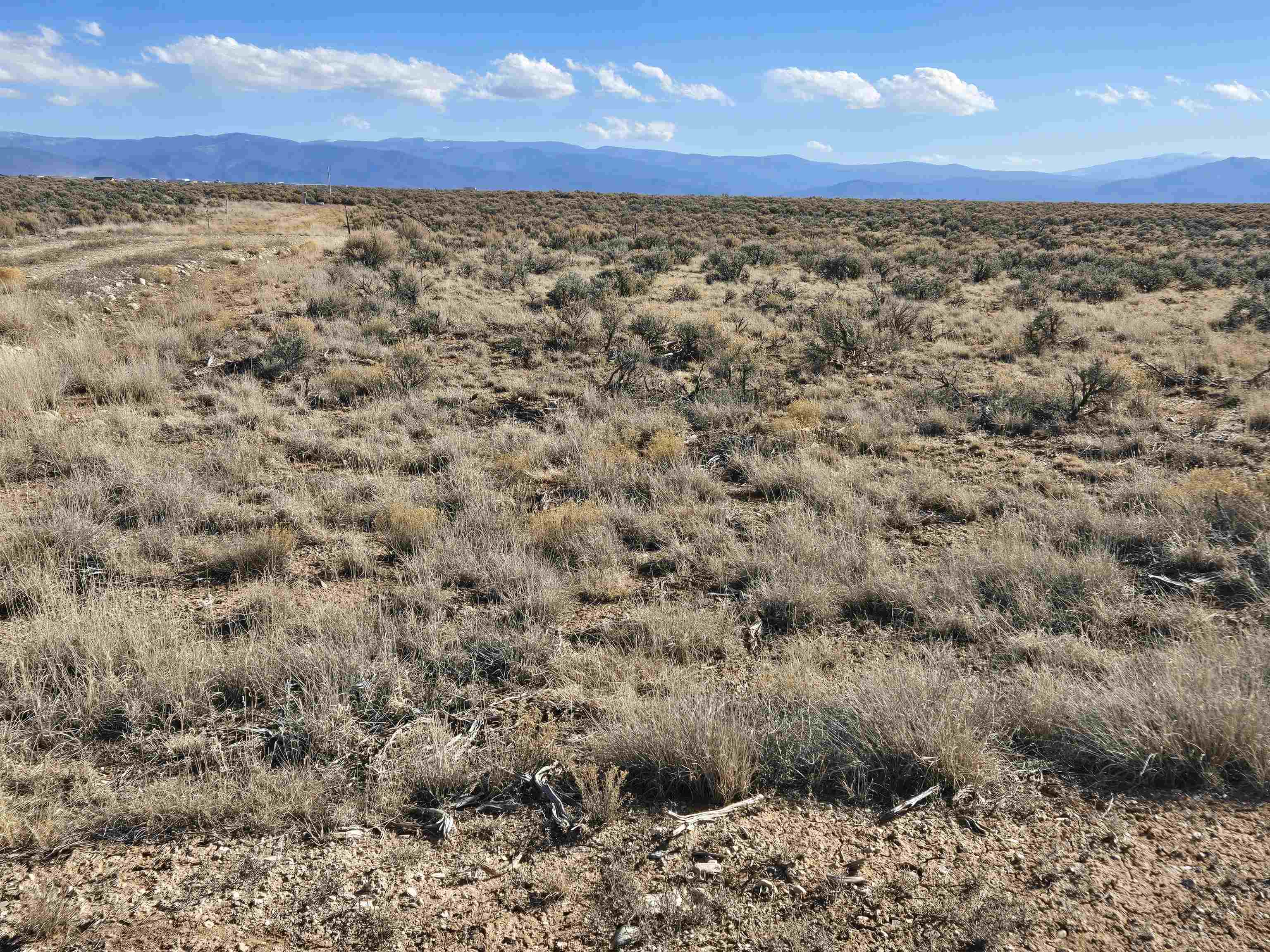 Lot 1B Off Calle Feliberto, El Prado, New Mexico image 10