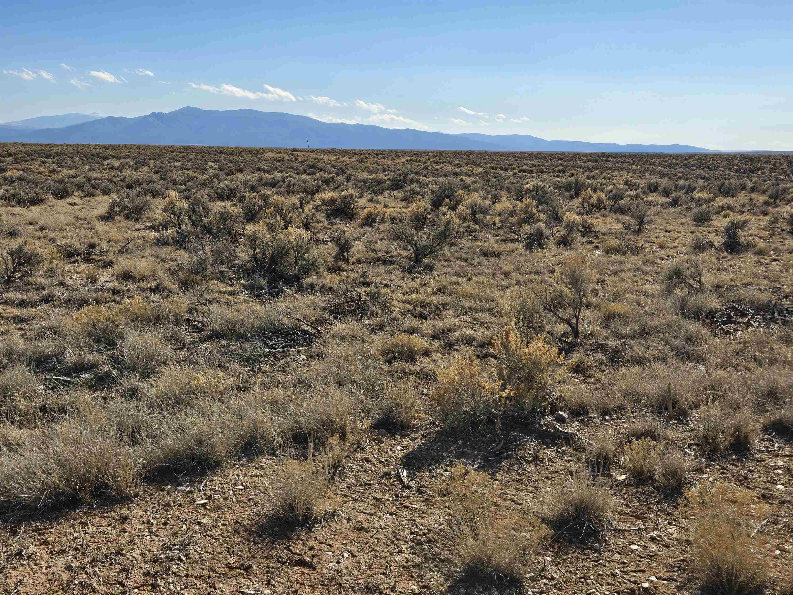 Lot 1B Off Calle Feliberto, El Prado, New Mexico image 11