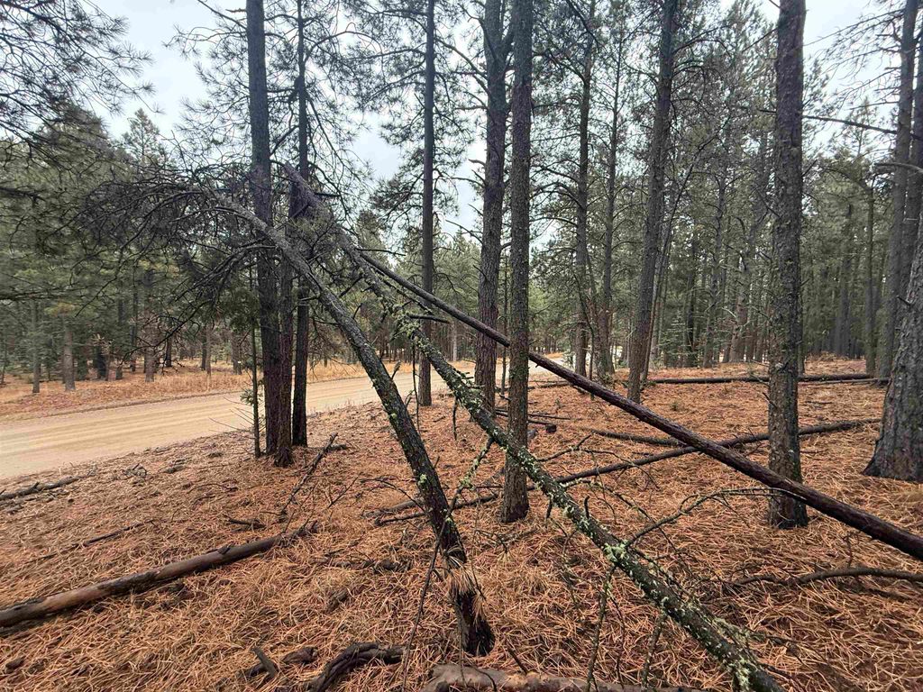 Photo of Lot 53 S Valle Grande Trl, Angel Fire, NM 87710 (MLS # 114311)