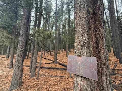 Photo of Lot 53 S Valle Grande Trl, Angel Fire, NM 87710 (MLS # 114311)