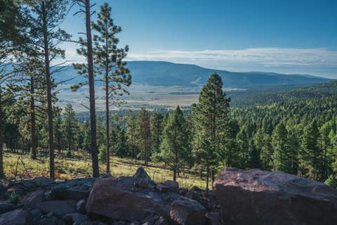 Vacant Land For Sale - 230 Palo Flechado Ridge Road<br/> Angel Fire, NM 87710
