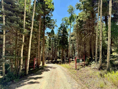 Homes For Sale - 131 Forest Road 76<br/> Angel Fire, NM 87710