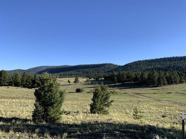 Lot 3 Off Of Hwy 120 Gonzales Sub, Angel Fire, New Mexico image 2