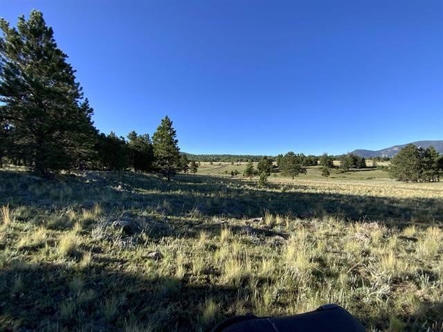 Lot 3 Off Of Hwy 120 Gonzales Sub, Angel Fire, New Mexico image 6