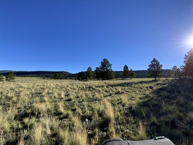 Lot 3 Off Of Hwy 120 Gonzales Sub, Angel Fire, New Mexico image 3