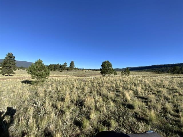 Lot 3 Off Of Hwy 120 Gonzales Sub, Angel Fire, New Mexico image 4