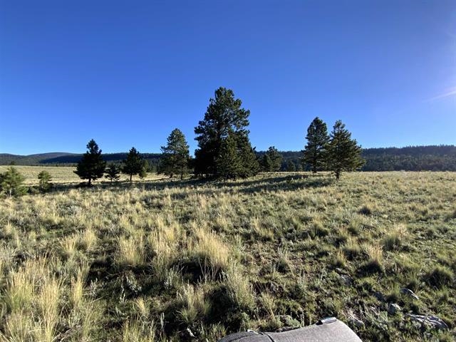 Lot 3 Off Of Hwy 120 Gonzales Sub, Angel Fire, New Mexico image 7