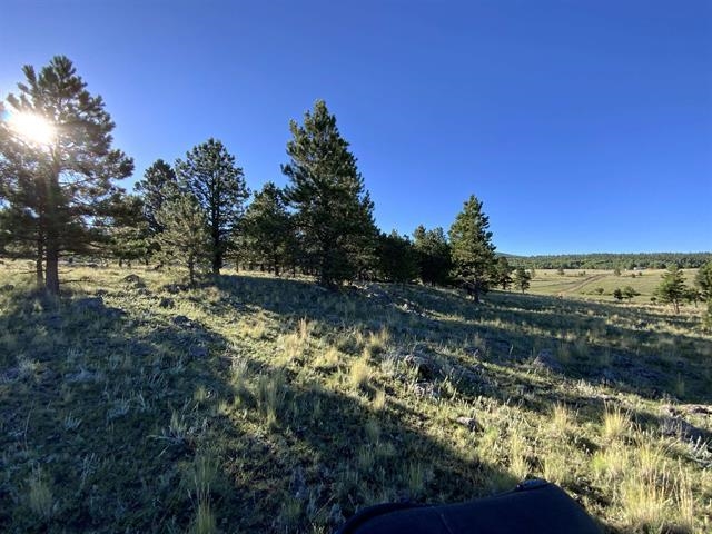 Lot 3 Off Of Hwy 120 Gonzales Sub, Angel Fire, New Mexico image 5