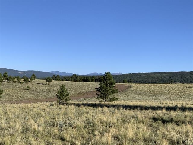 Lot 3 Off Of Hwy 120 Gonzales Sub, Angel Fire, New Mexico image 1