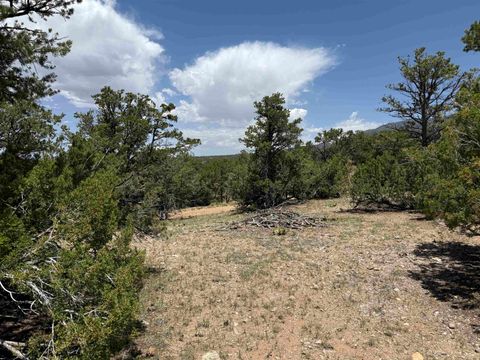 Vacant Land For Sale - XX Bret Hale Road<br/> Valdez, NM 87580