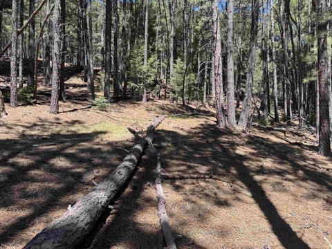 Vacant Land For Sale - LOT 6 BLK B Sarazen Terrace<br/> Colfax County, Angel Fire, NM 87710