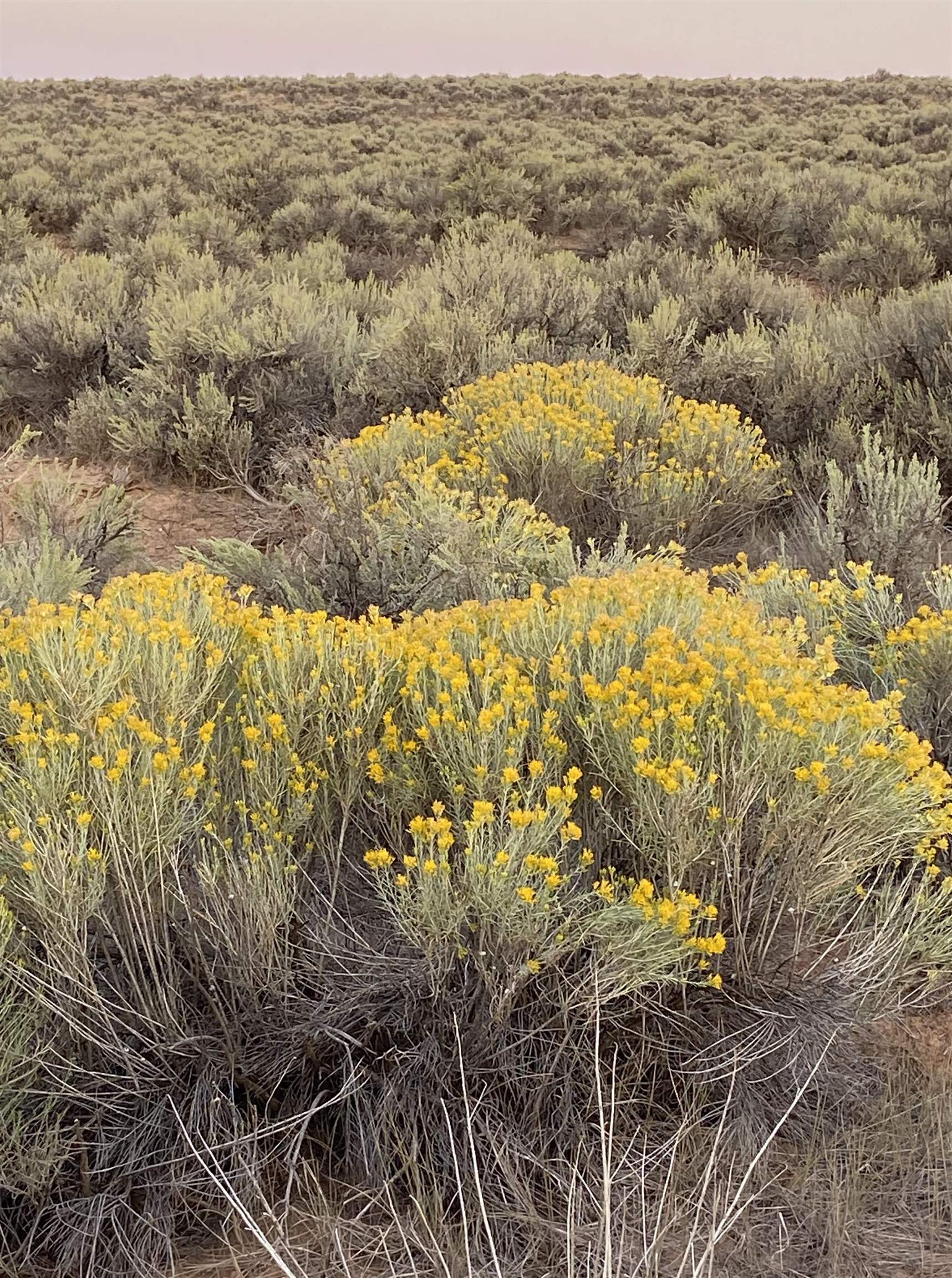 180 Lot 4 Tune Drive, El Prado, New Mexico image 19