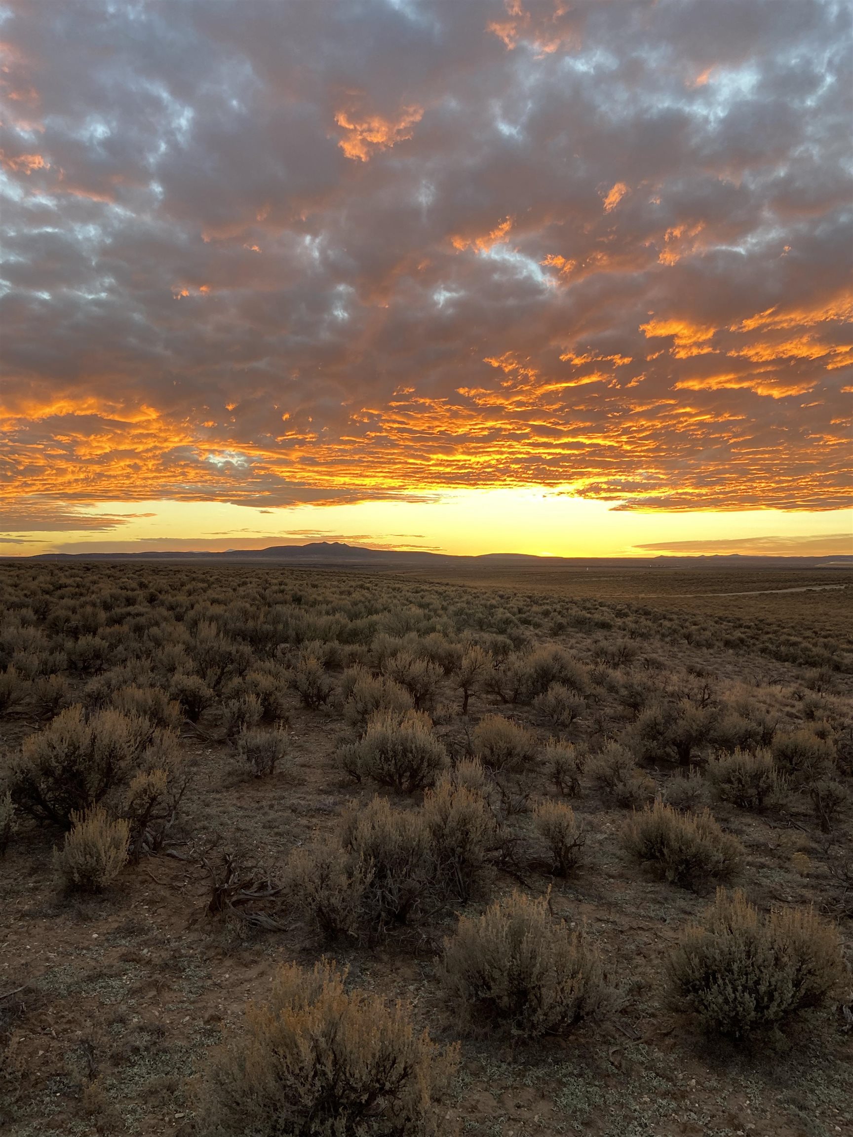 180 Lot 4 Tune Drive, El Prado, New Mexico image 21