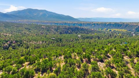 Vacant Land For Sale - Lot 11 Deer Mesa Road<br/> Valdez, NM 87571