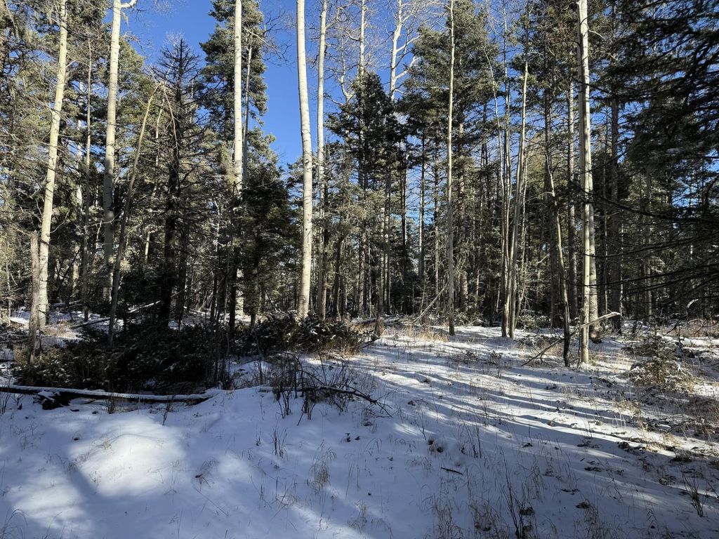 Photo of Lot 99 Zia, Angel Fire, NM 87710 (MLS # 114319)