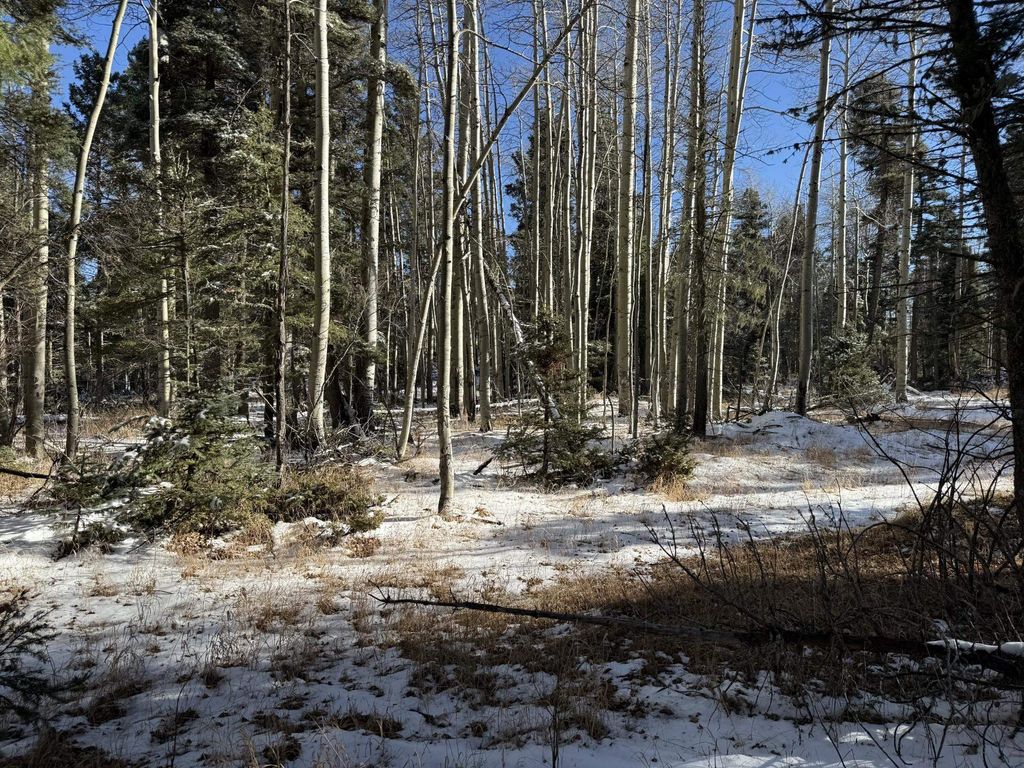 Photo of Lot 99 Zia, Angel Fire, NM 87710 (MLS # 114319)