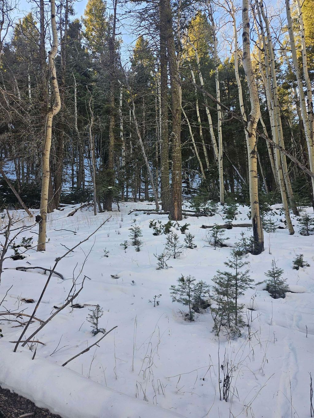 Photo of lot 147 chalets back basin Rd, Angel Fire, NM 87710 (MLS # 110158)