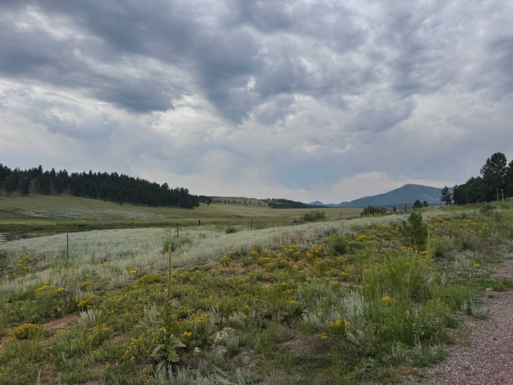 Photo of Lot 39 Whymans Black Lake Estates, Angel Fire, NM 87710 (MLS # 113866)
