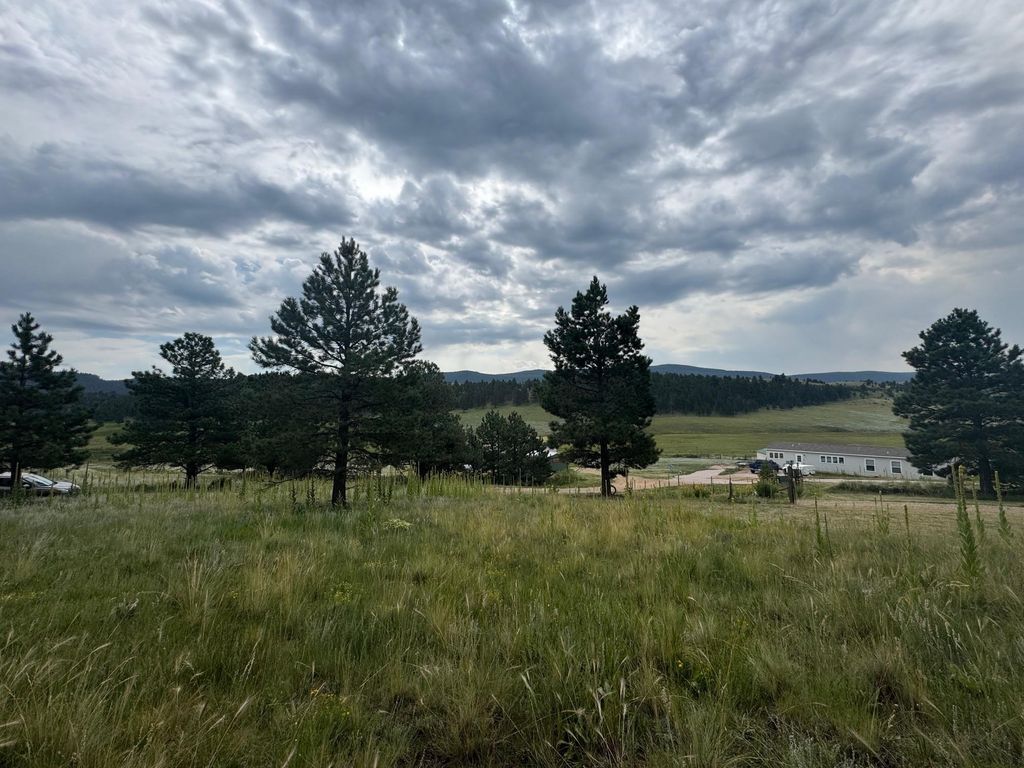 Photo of Lot 39 Whymans Black Lake Estates, Angel Fire, NM 87710 (MLS # 113866)