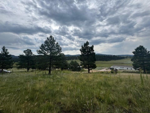 Vacant Land For Sale - LOT 39 Whymans Black Lake Estates<br/> Angel Fire, NM 87710