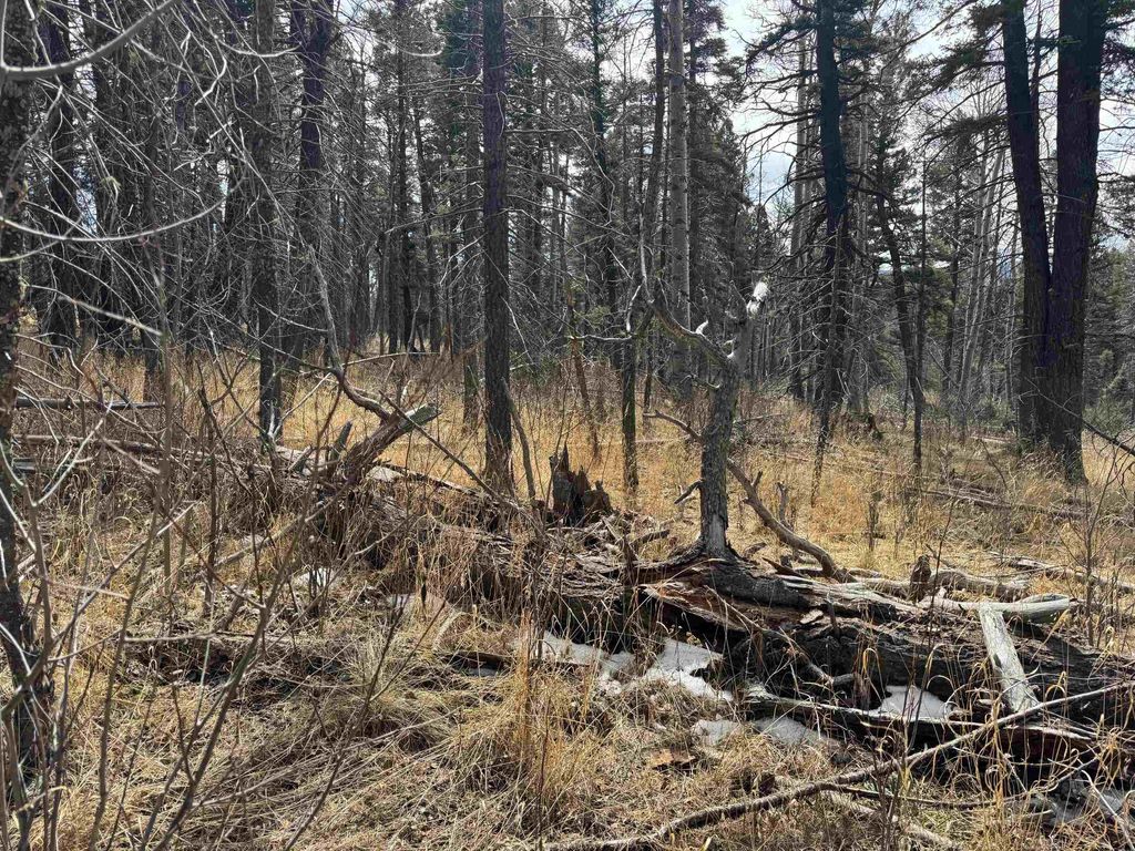Photo of lot 1367 Skyview Way, Angel Fire, NM 87710 (MLS # 114627)