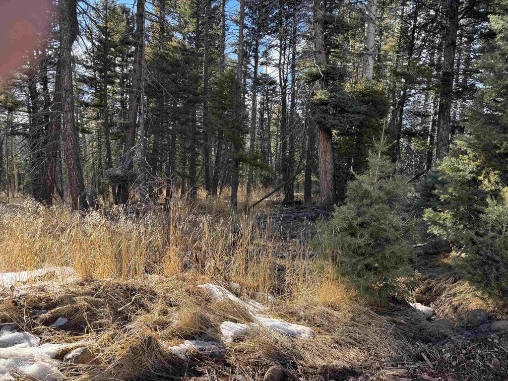 Photo of lot 1367 Skyview Way, Angel Fire, NM 87710 (MLS # 114627)