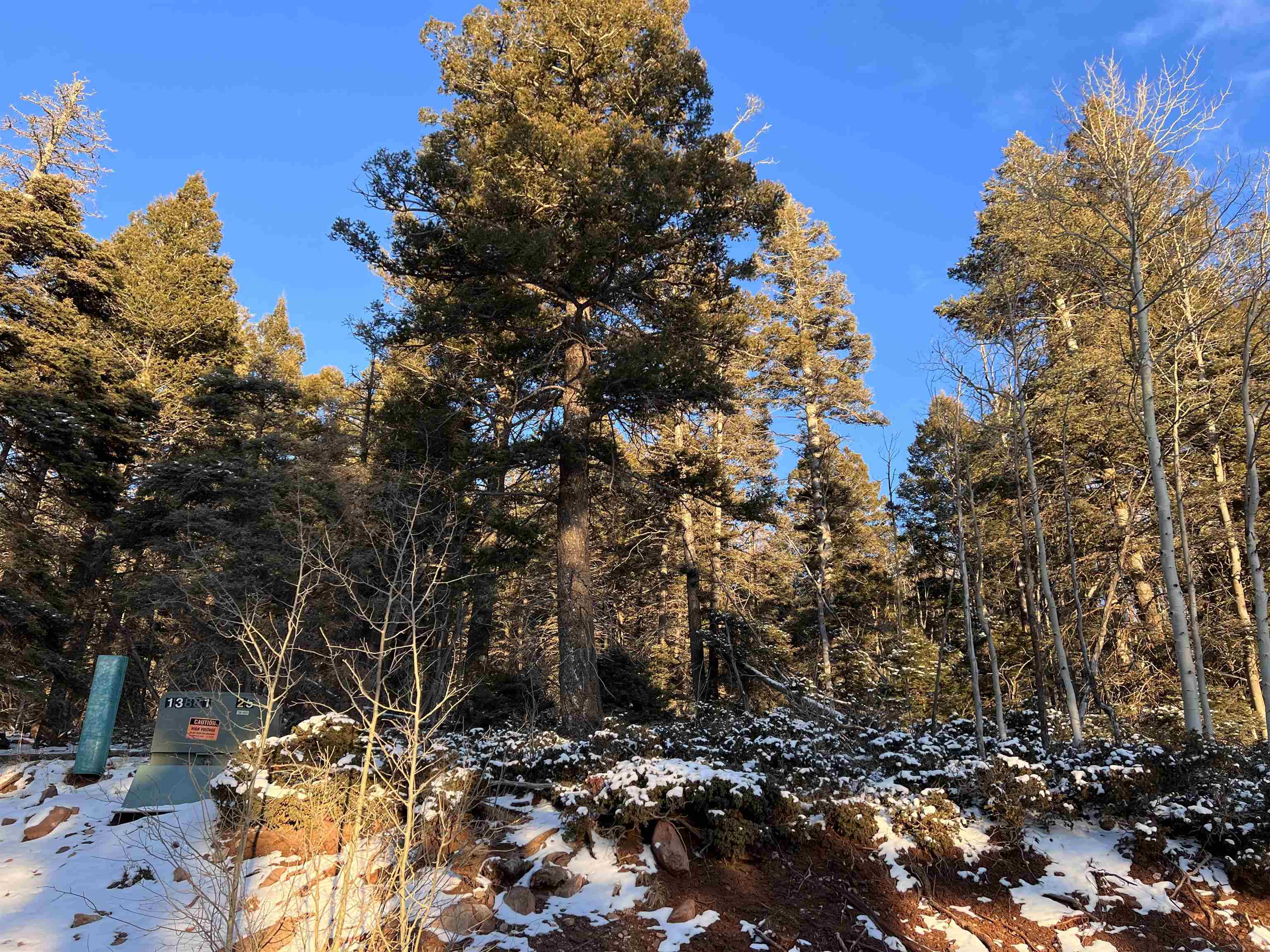 Lot 81 Back Basin Rd, Angel Fire, New Mexico image 3