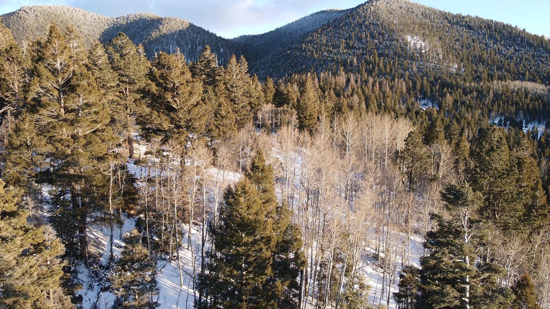 Lot 81 Back Basin Rd, Angel Fire, New Mexico image 9