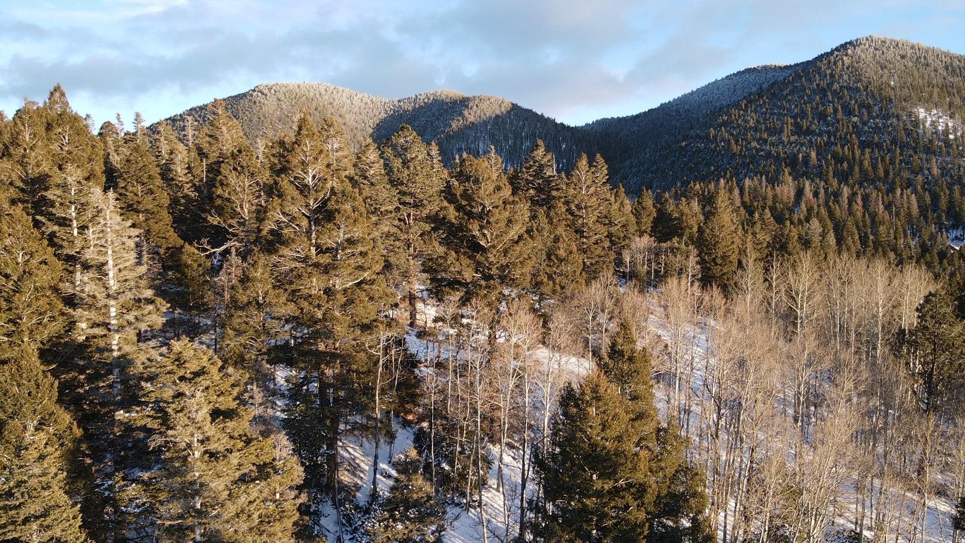 Lot 81 Back Basin Rd, Angel Fire, New Mexico image 7