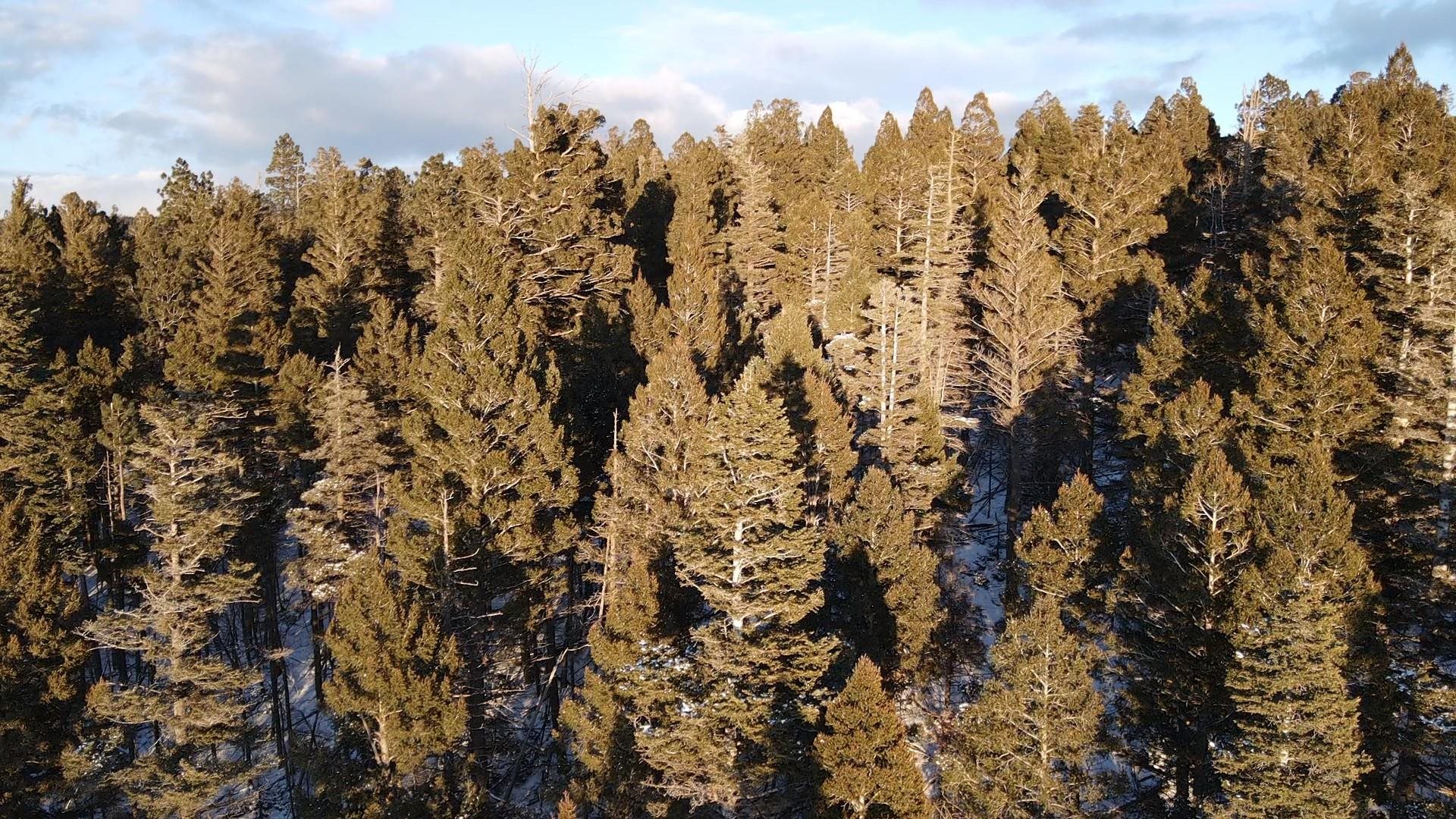 Lot 81 Back Basin Rd, Angel Fire, New Mexico image 4