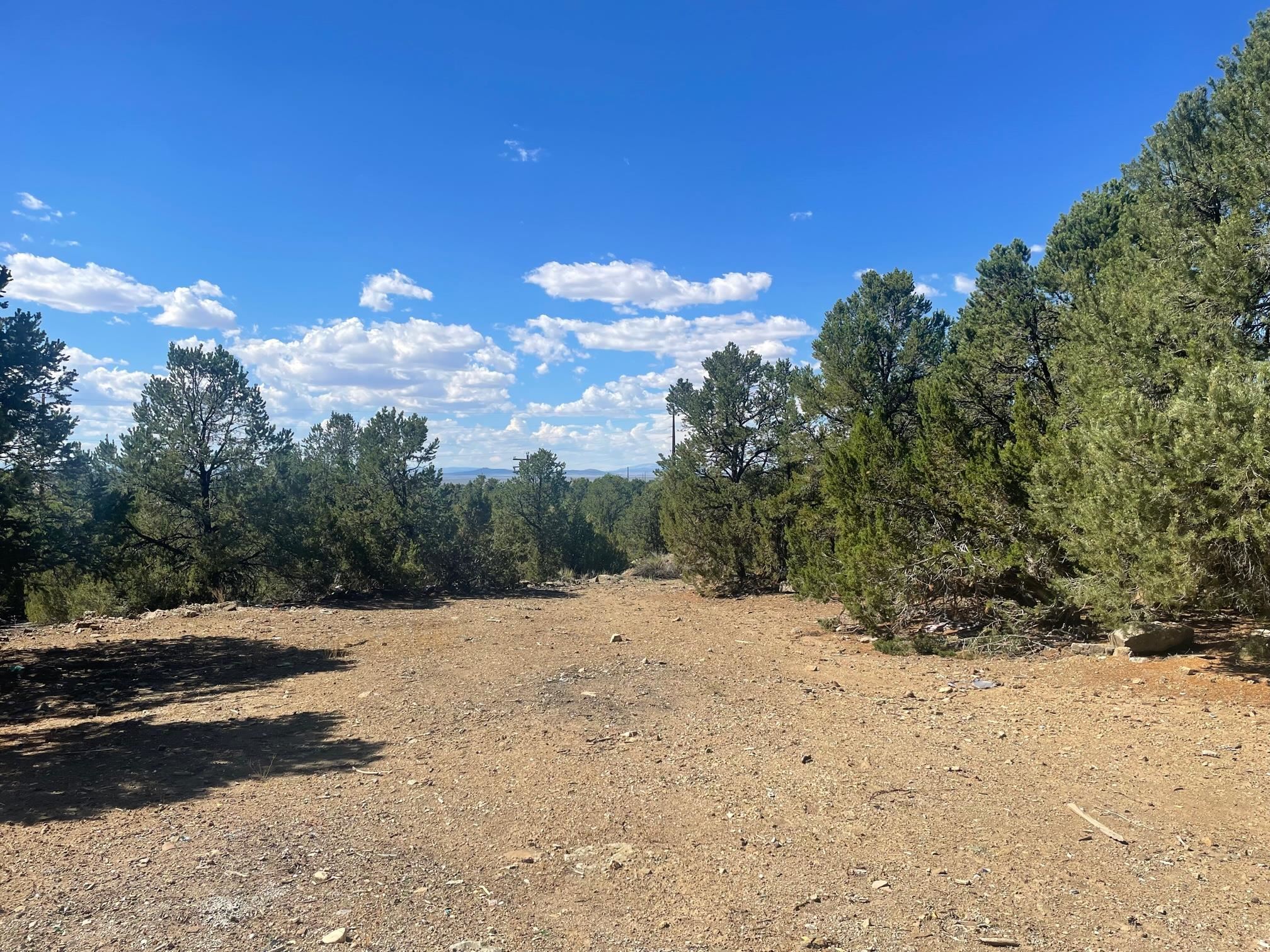 Adjacent State Hwy 518, Taos, New Mexico image 5