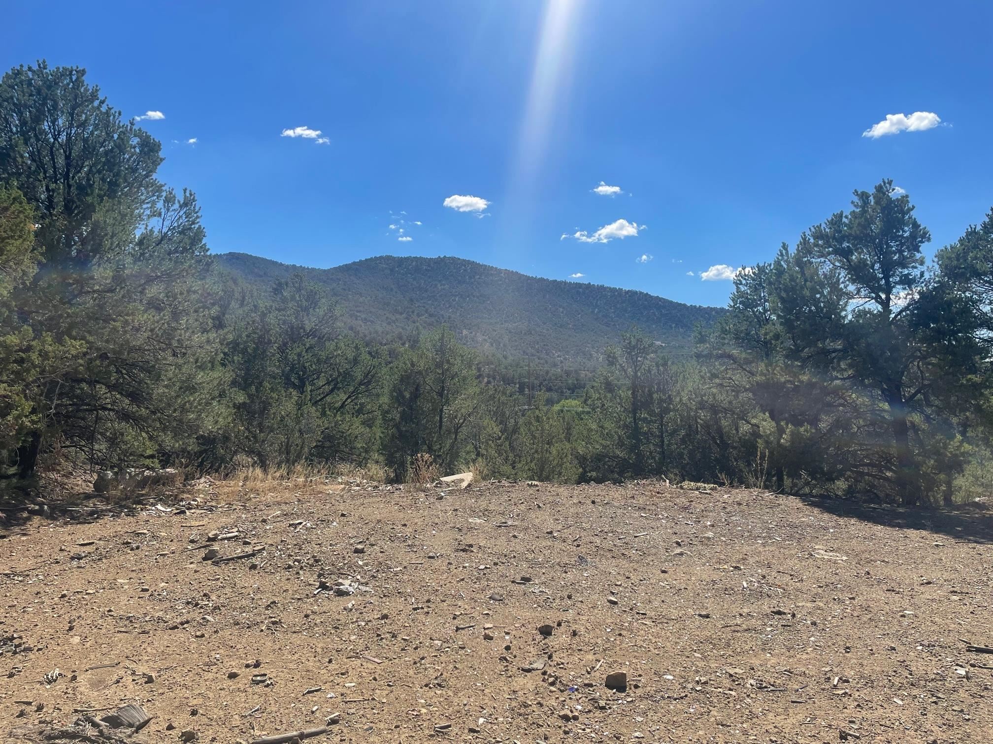 Adjacent State Hwy 518, Taos, New Mexico image 4