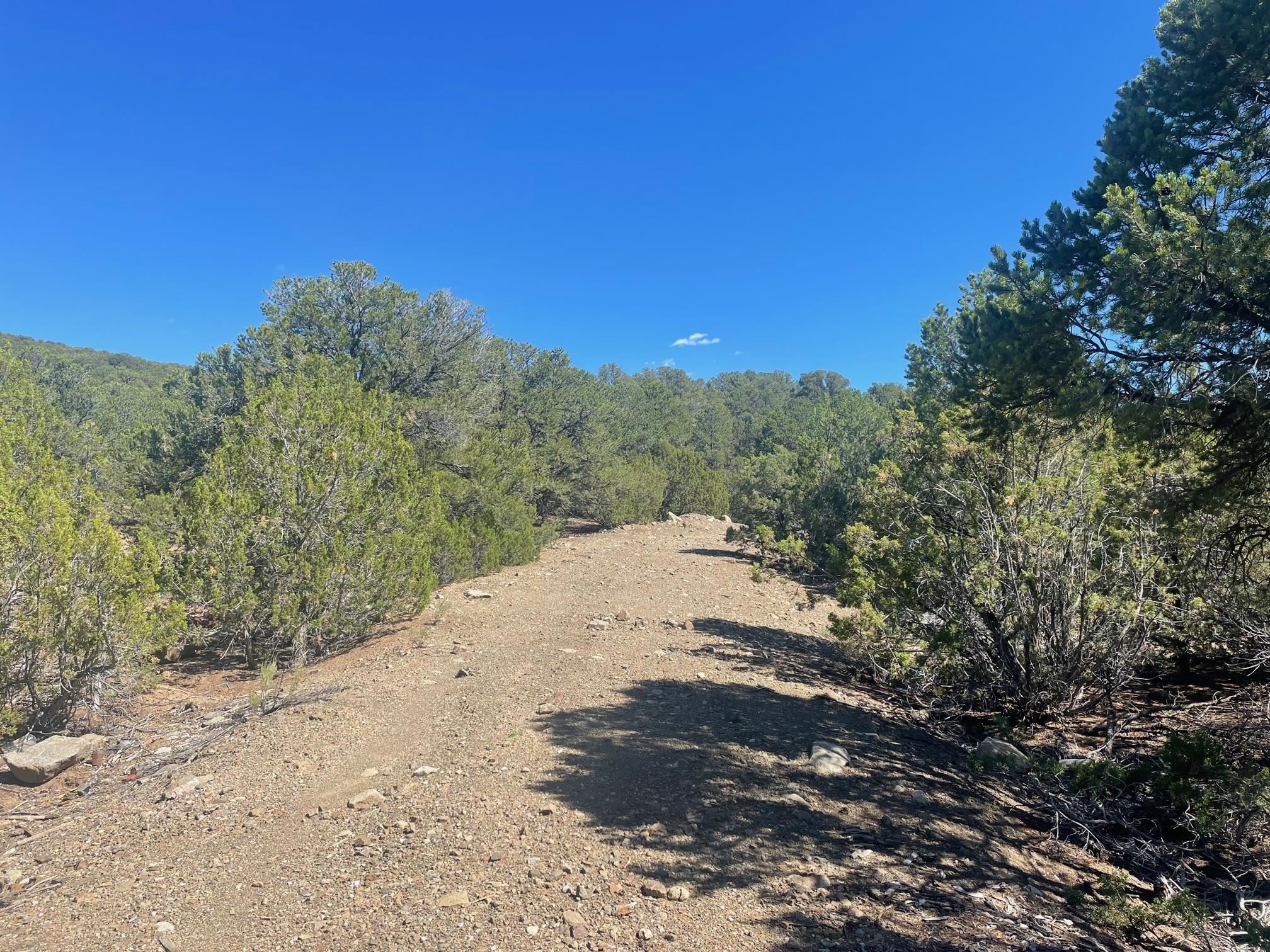 Adjacent State Hwy 518, Taos, New Mexico image 2