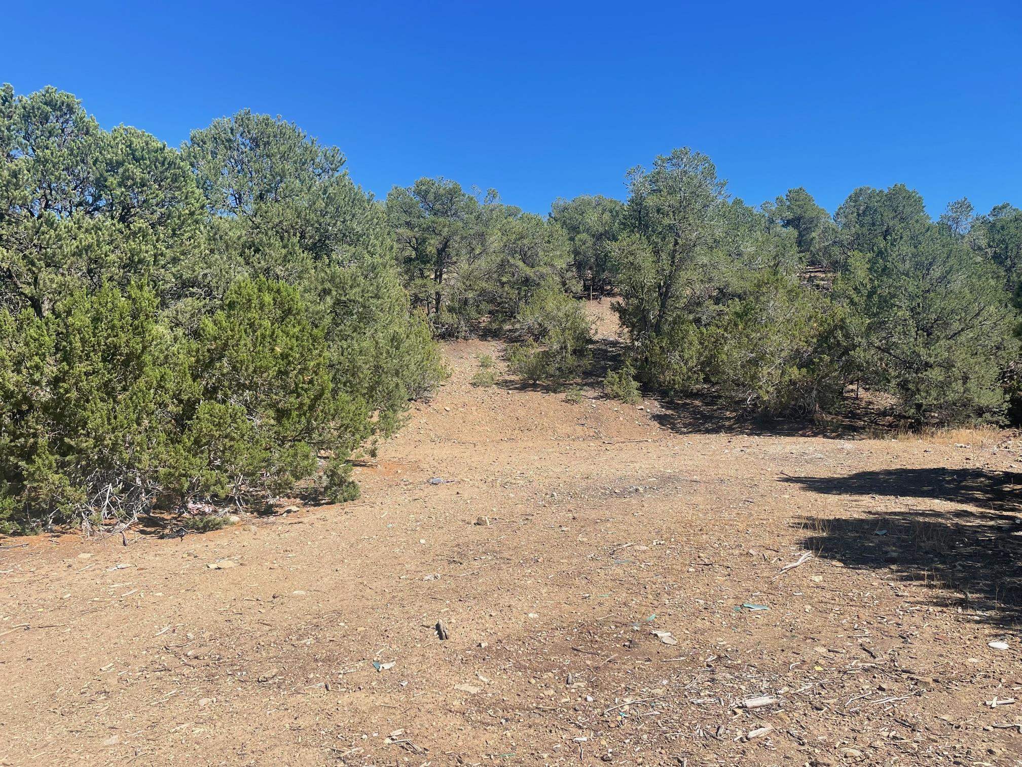 Adjacent State Hwy 518, Taos, New Mexico image 3