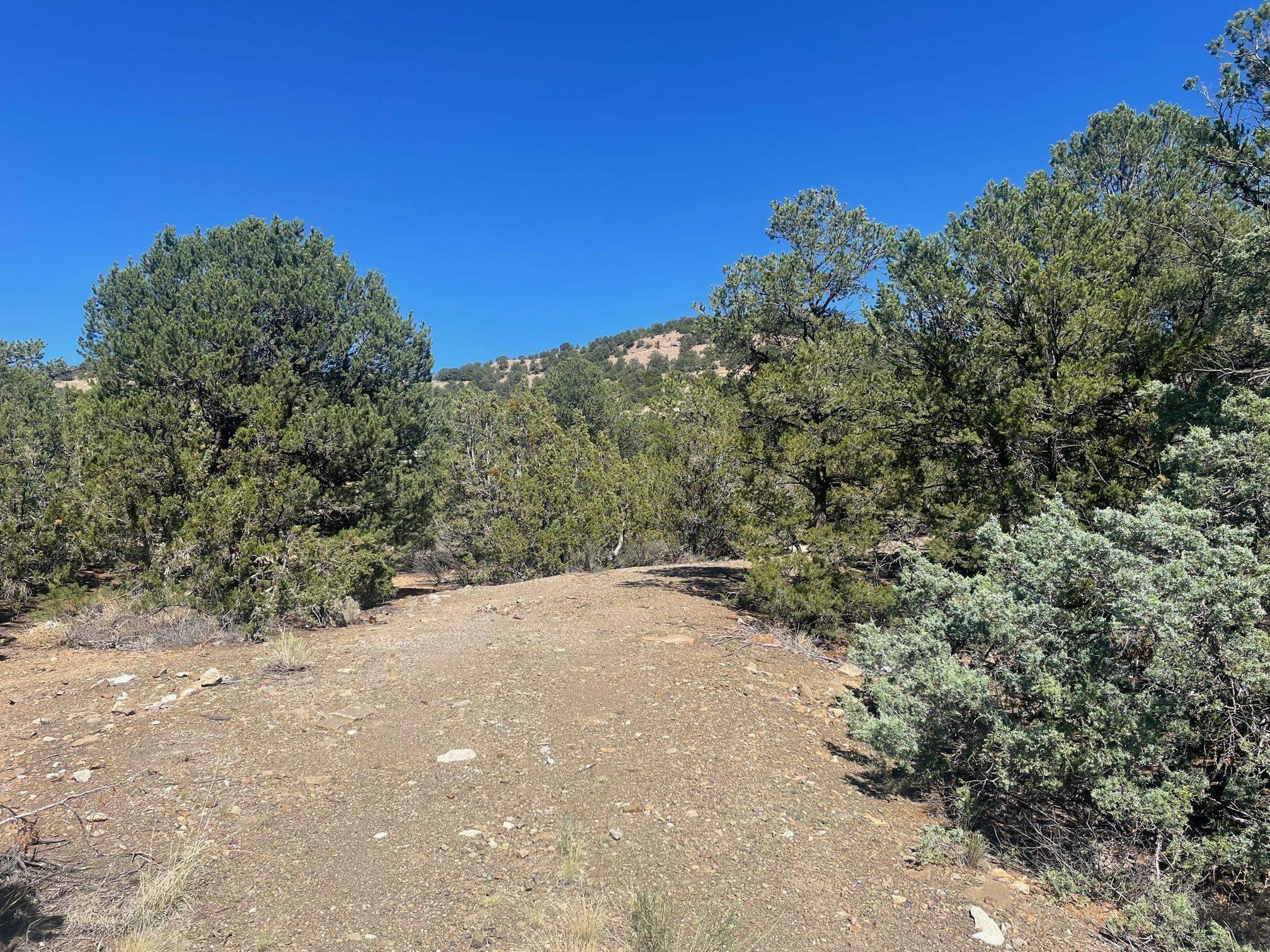 Adjacent State Hwy 518, Taos, New Mexico image 1