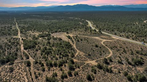 Vacant Land For Sale - 20 Acres Highway 285<br/> Carson, NM 87577