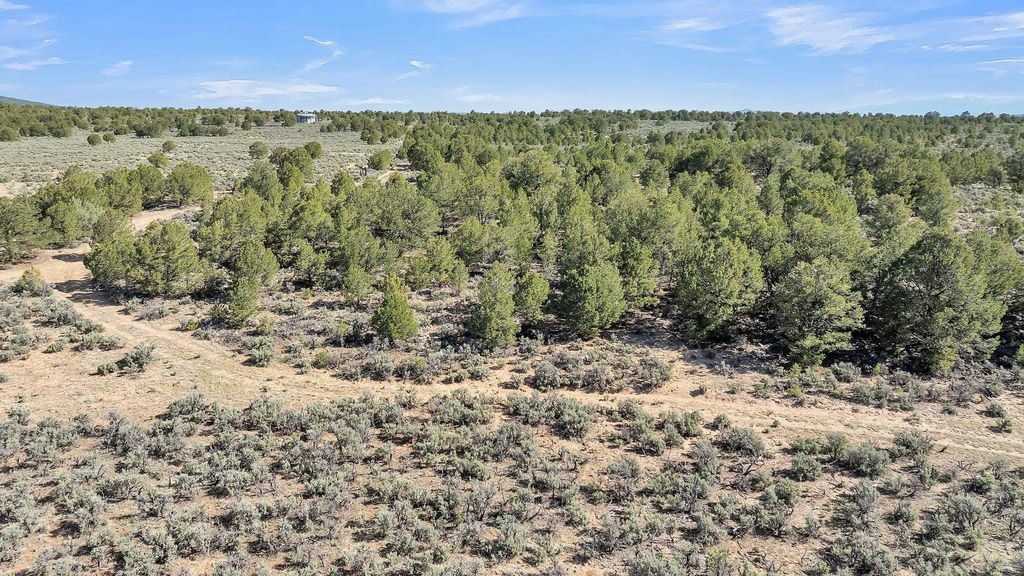 Photo of 20 Acres Highway 285, Carson, NM 87577 (MLS # 113643)